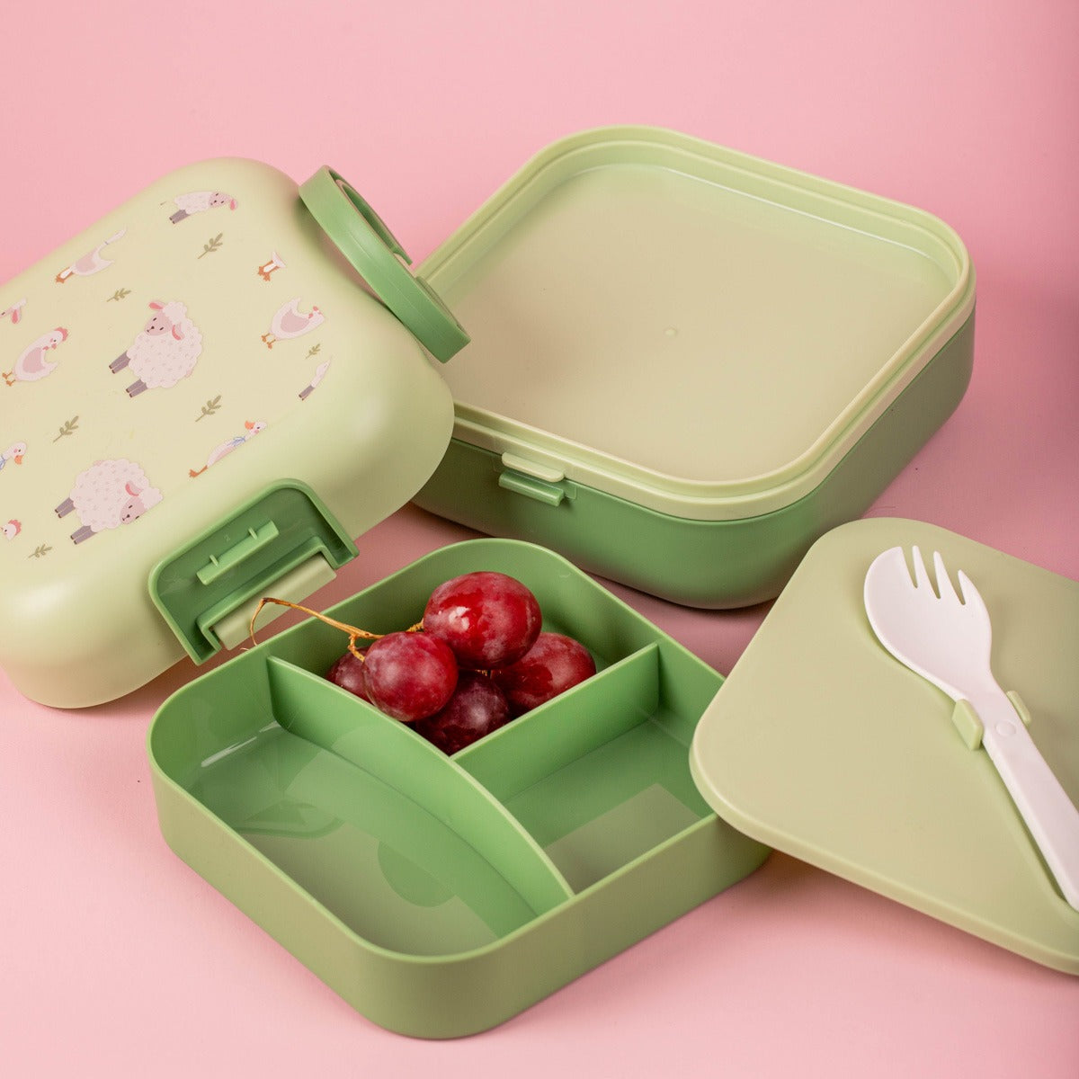 B2 PECORA Green Lunchbox 1150ml - Durable & Compact