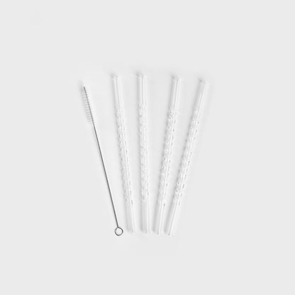 Set of straws Set of 5 ALCOLE Glass Straws with Cleaner