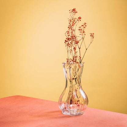 JUNNE Transparent Glass Vase 12x20.3 cm