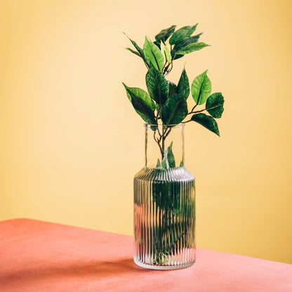 TOLLE Striped Glass Vase Transparent 21x9x9 cm