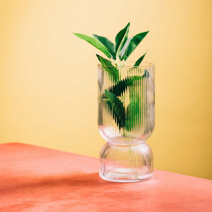 LIMPID Transparent Glass Vase 21 cm