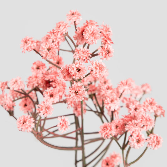 Artificial Branch Cladel Coral 61 cm