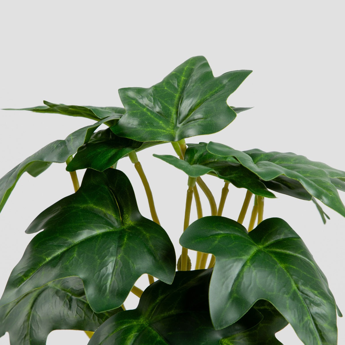 Artificial Hanging Ivy Plant | TROPICAL ZONE | 40 cm