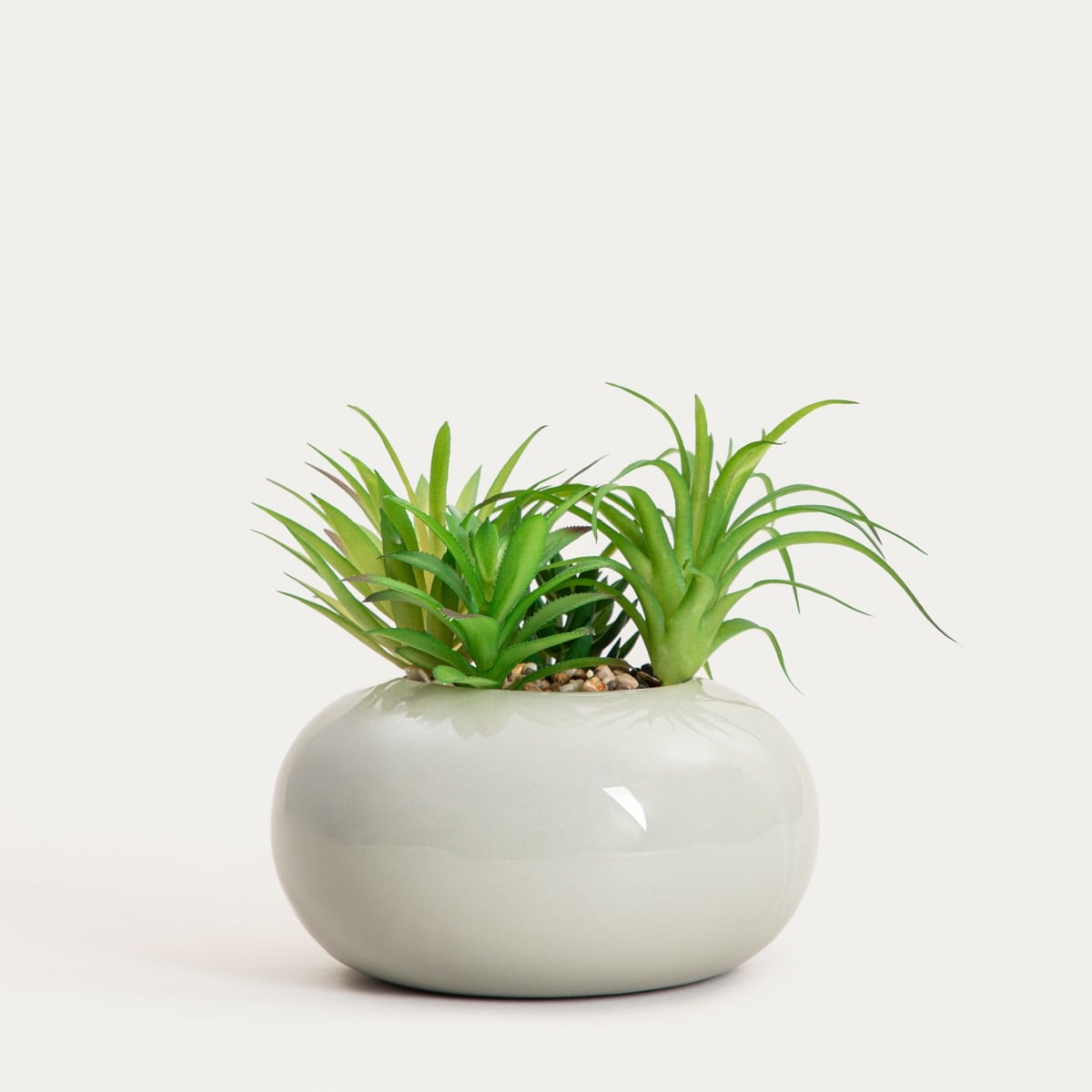 Artificial plant ACCIO Artificial Succulent Plant in Pot - 18cm