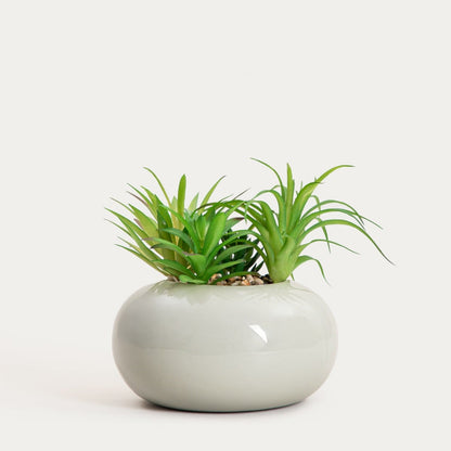 Artificial plant ACCIO Artificial Succulent Plant in Pot - 18cm