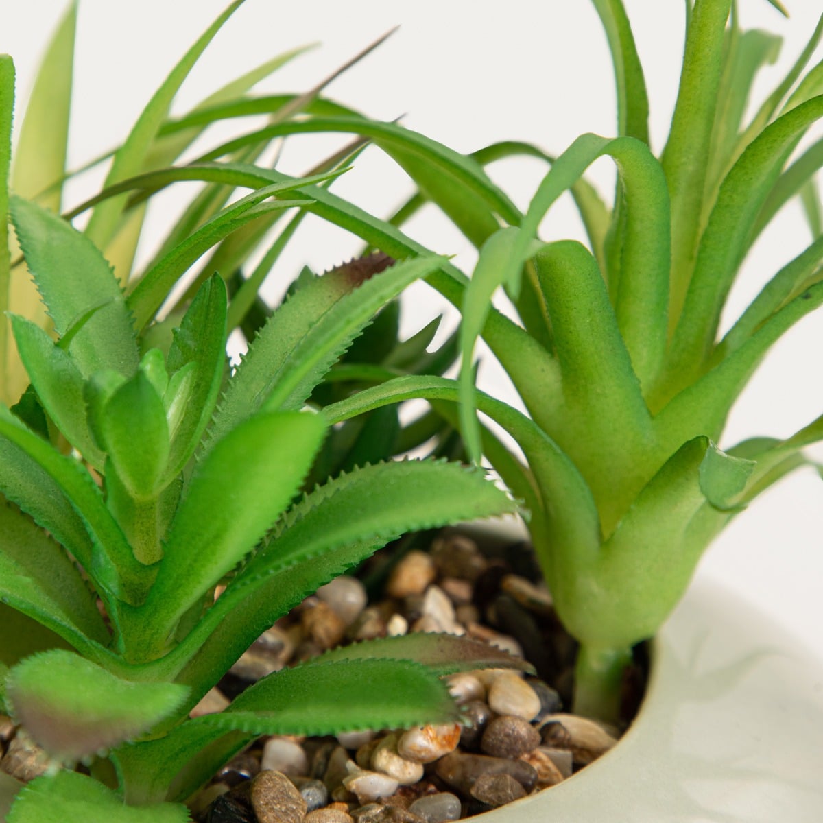Artificial plant ACCIO Artificial Succulent Plant in Pot - 18cm