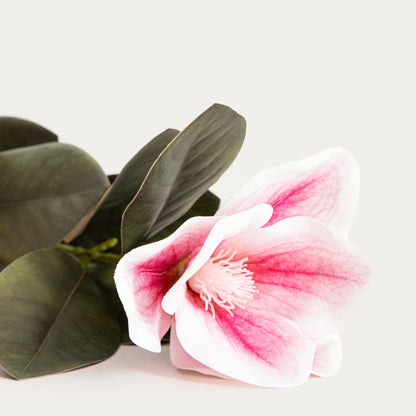 Artificial branch Artificial Magnolia Branch MANOLIA 68 cm