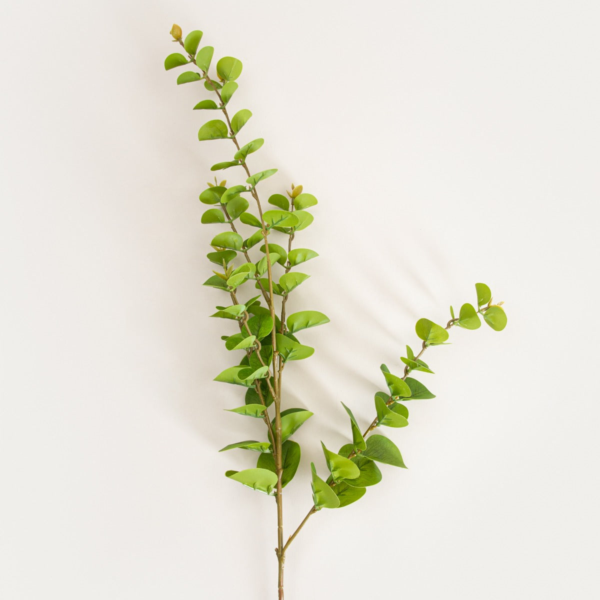 Artificial branch MIKSO Artificial Eucalyptus Branch 97 cm