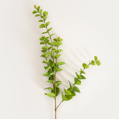 Artificial branch MIKSO Artificial Eucalyptus Branch 97 cm