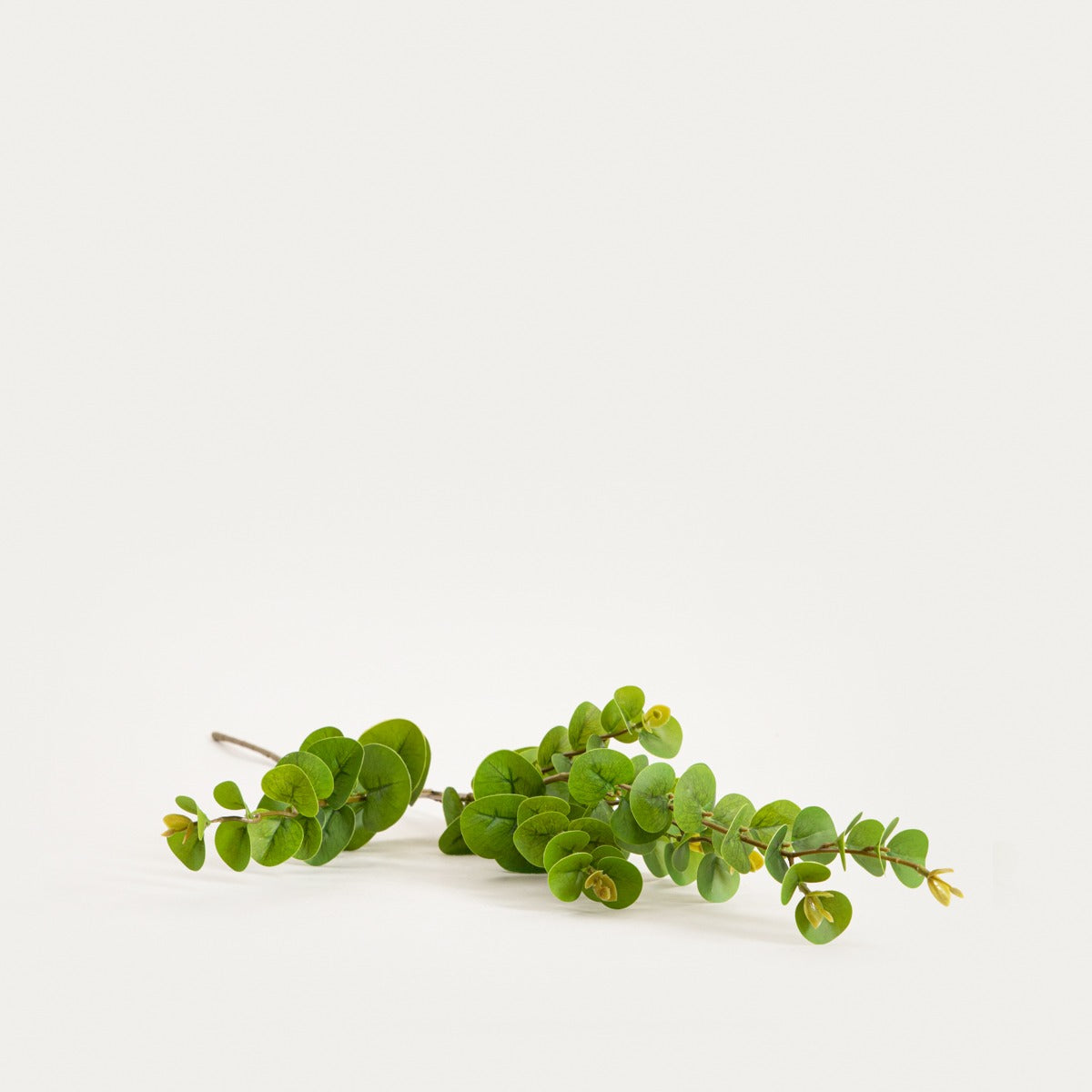 Artificial branch MIKSO Artificial Eucalyptus Branch 97 cm