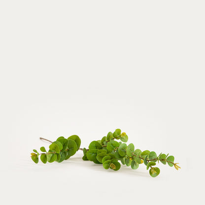 Artificial branch MIKSO Artificial Eucalyptus Branch 97 cm