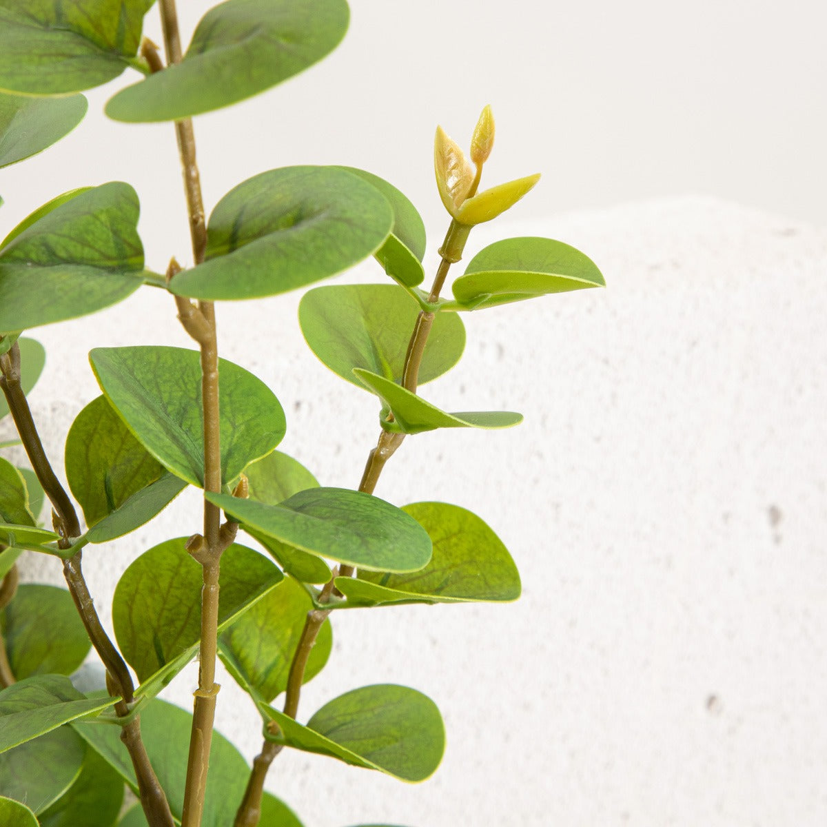 Artificial branch MIKSO Artificial Eucalyptus Branch 97 cm