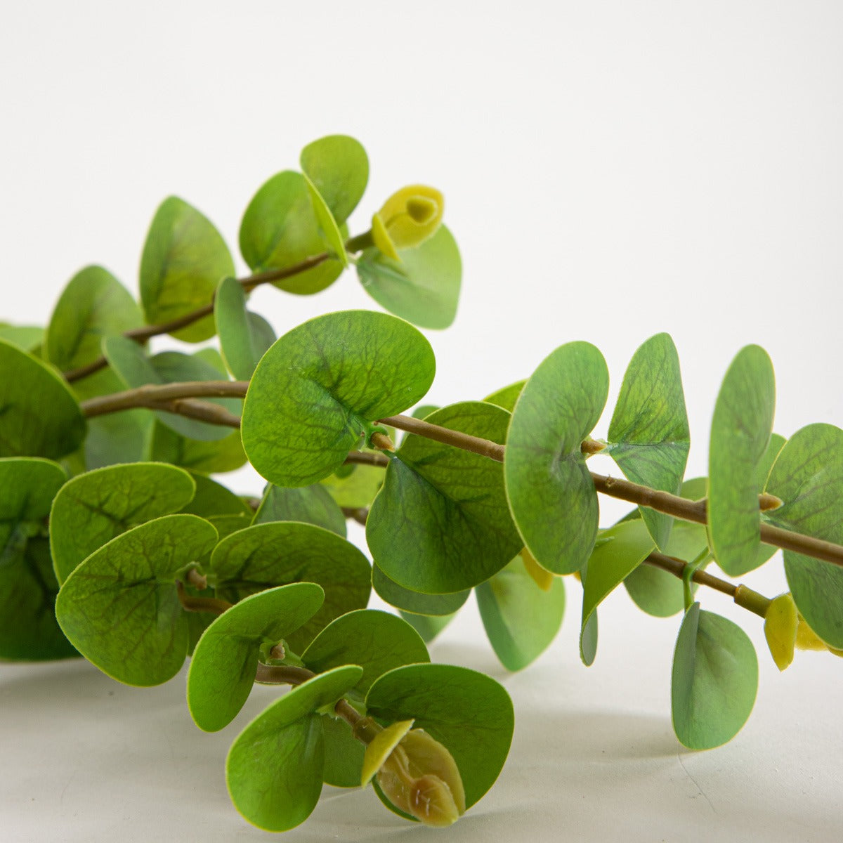 Artificial branch MIKSO Artificial Eucalyptus Branch 97 cm