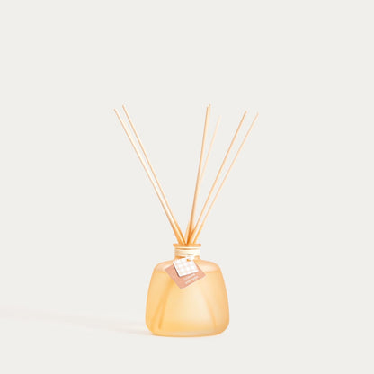 GRID LINES Citrus & Vetiver Fragrance Diffuser 200ml