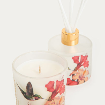 GRAND BOTANICA Cypres Moss Fragrance Set 50 ml Diffuser & 70 g Candle