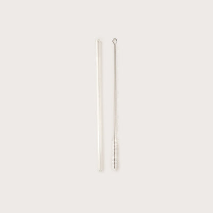 ALCOLE Glass Straw Set with Cleaner, 2 Pieces, 26 cm