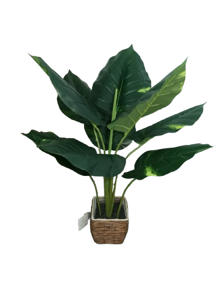Strelitzia Artificial Plant 60cm Green Decorative