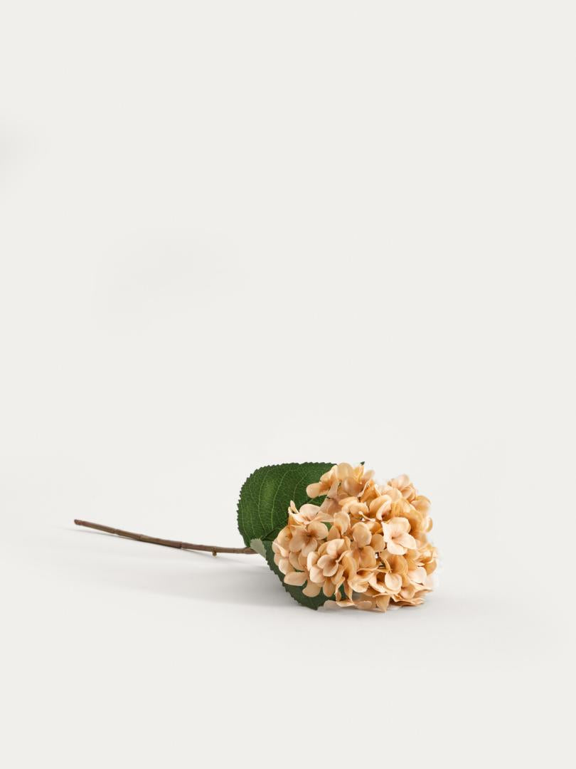 Artificial Branch Beige Hydrangea 52cm | FORTENS