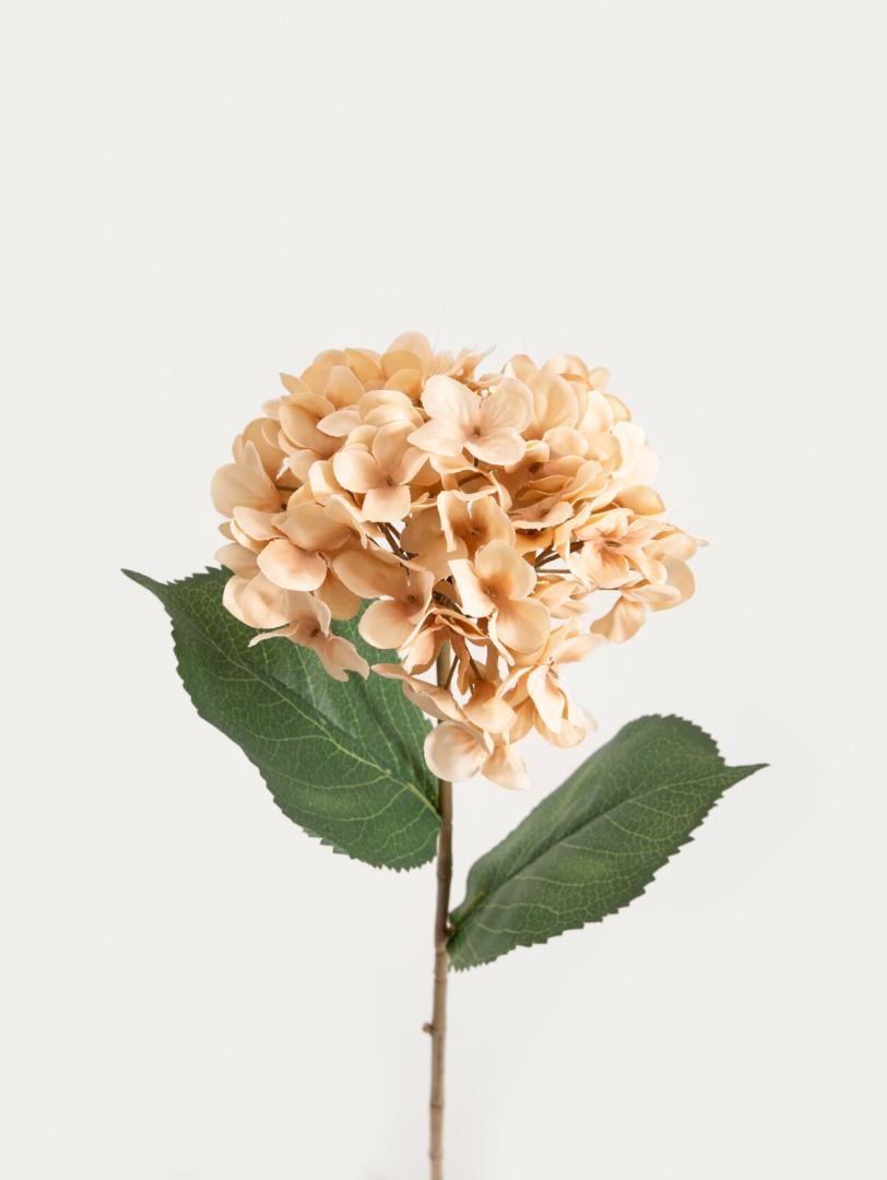 Artificial Branch Beige Hydrangea 52cm | FORTENS