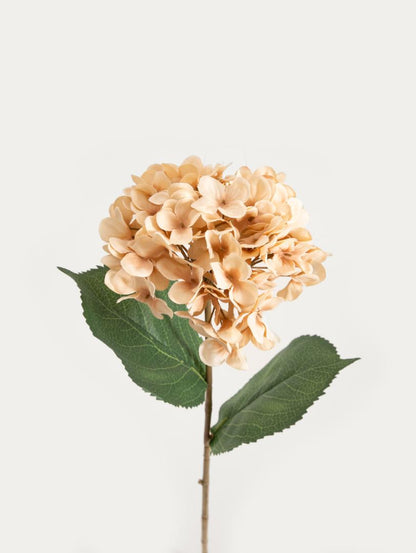 Artificial Branch Beige Hydrangea 52cm | FORTENS