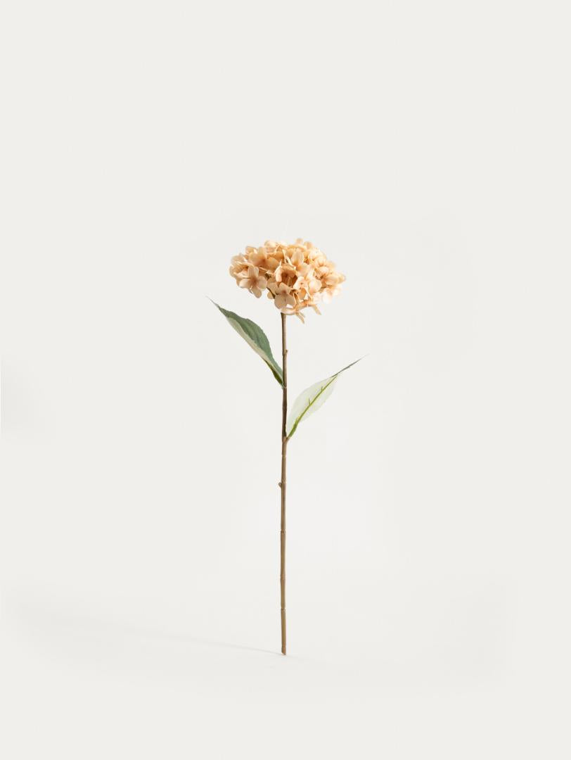 Artificial Branch Beige Hydrangea 52cm | FORTENS