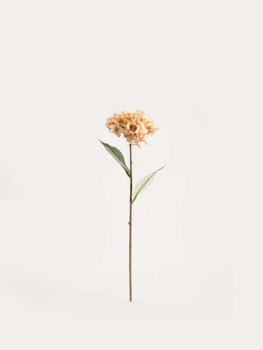 Artificial Branch Beige Hydrangea 52cm | FORTENS