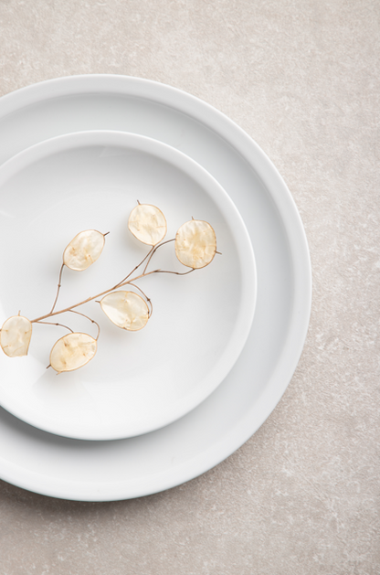 Vienna Dinner Plate 25.5cm Porcelain White